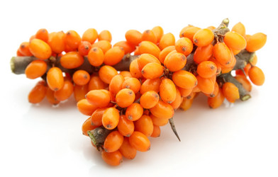 Similar image 376290