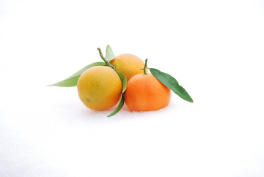 Similar image 376292