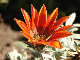 Similar image 376318