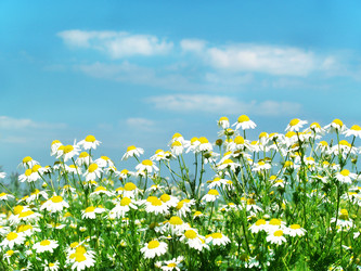 Similar image 376330