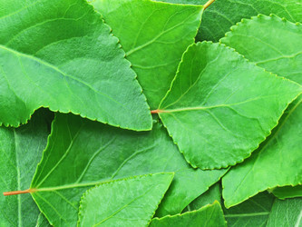 Similar image 376332