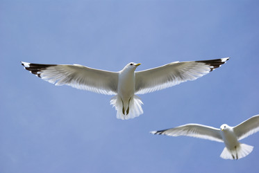 Similar image 376341