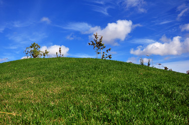 Similar image 376347