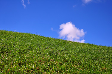 Similar image 376348