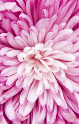 Similar image 376351