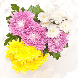 Similar image 376353