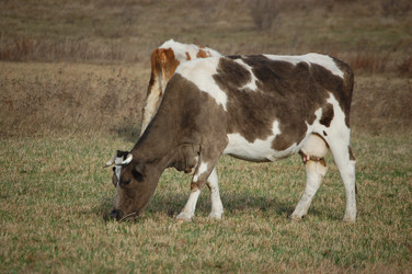 Similar image 376365