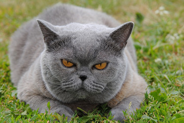 Similar image 376369