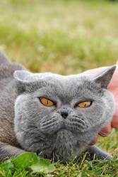 Similar image 376370