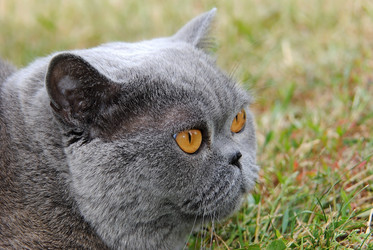 Similar image 376371