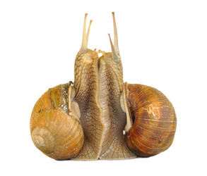 Similar image 376374