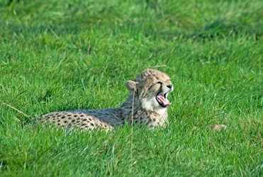 Similar image 376398