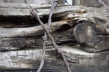 Similar image 376518