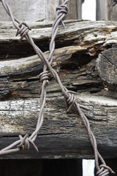 Similar image 376520