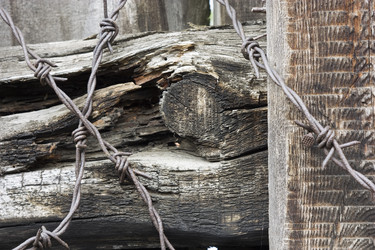 Similar image 376521