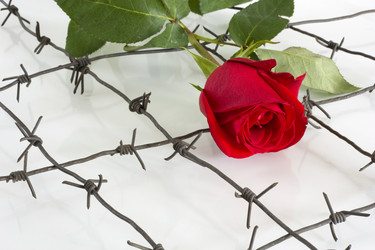 Similar image 376530