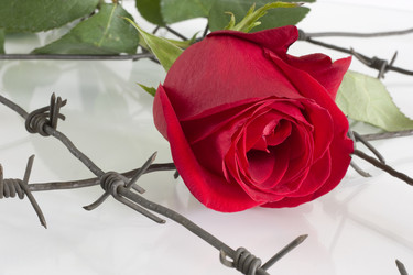 Similar image 376531