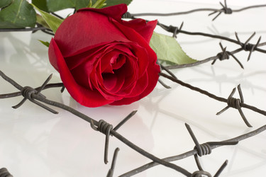 Similar image 376535