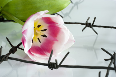 Similar image 376543