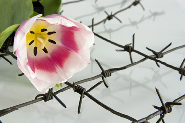 Similar image 376546