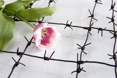 Similar image 376547