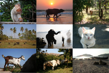 Similar image 376580