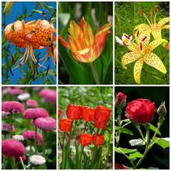 Similar image 376592