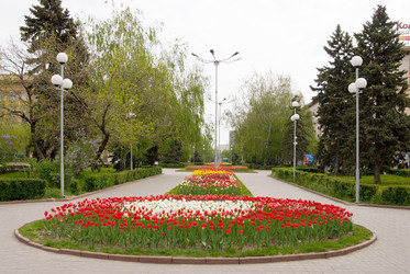 Similar image 376662