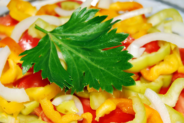 Similar image 376790