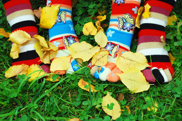 Similar image 376847