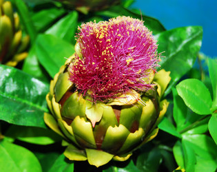 Similar image 376848