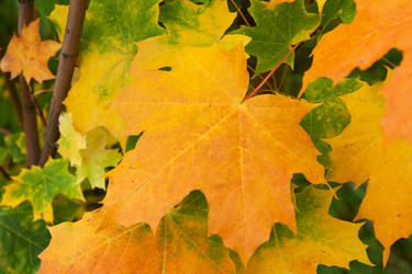 Similar image 376942