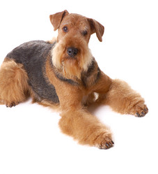 Similar image 376948