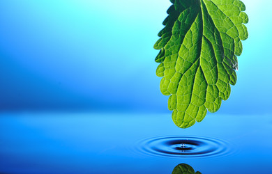 Similar image 376954