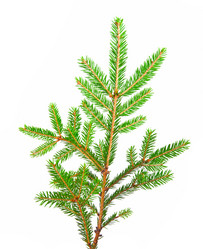 Similar image 376998