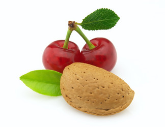 Similar image 377007