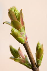 Similar image 377035