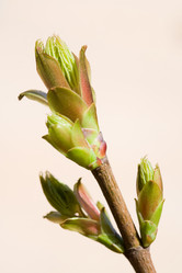 Similar image 377039