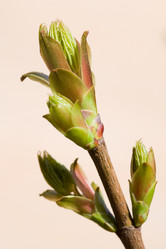 Similar image 377041