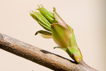 Similar image 377042