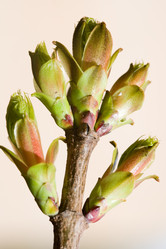 Similar image 377043