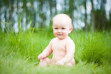 Similar image 377131