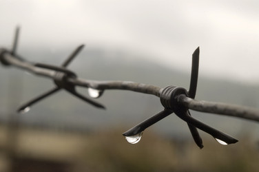 Similar image 377137