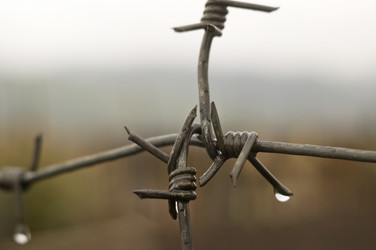 Similar image 377138