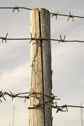 Similar image 377140