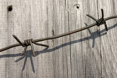 Similar image 377142