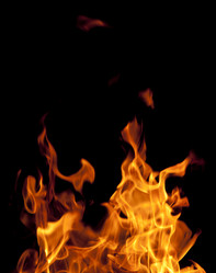 Similar image 377297