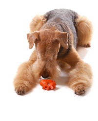 Similar image 377304