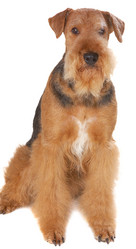 Similar image 377382