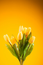 Similar image 377396